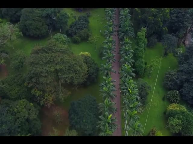 Aburi Palm Wine, Akpeteshie & Cocoa Farm Day Tour from Accra