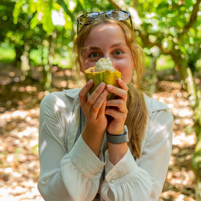fairafric Farm to Factory Tour — Bean-to-Bar Chocolate, Suhum
