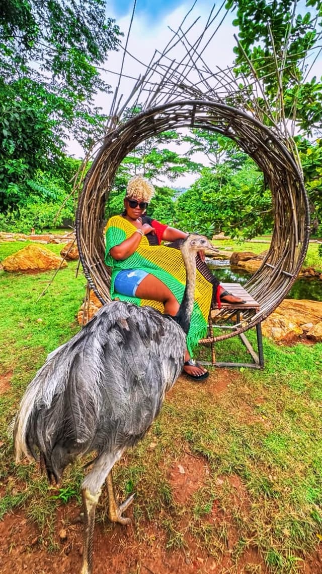 Ghana Birding Circuit