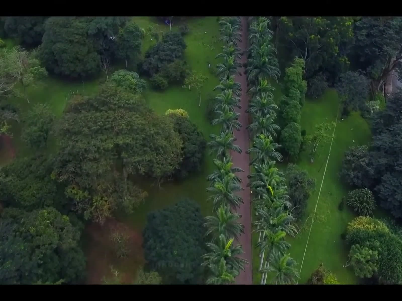 Aburi Palm Wine, Akpeteshie & Cocoa Farm Day Tour from Accra