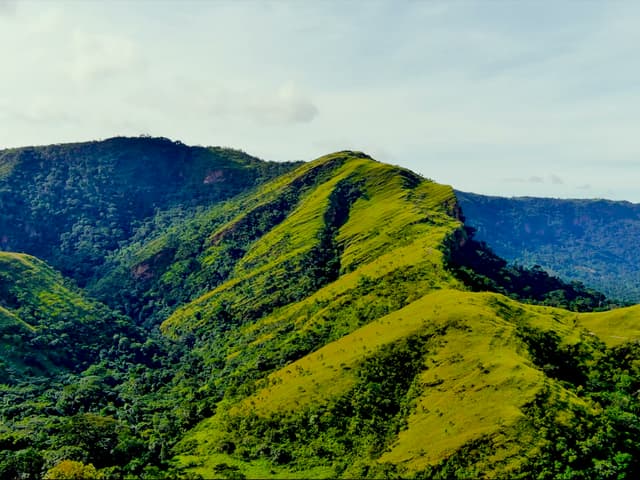 Volta Weekend Escape — Afadja, Tagbo, Wli Falls & Tafi Atome (2 Nights from Accra)