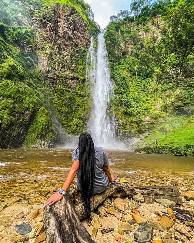 Healing Journey Wellness