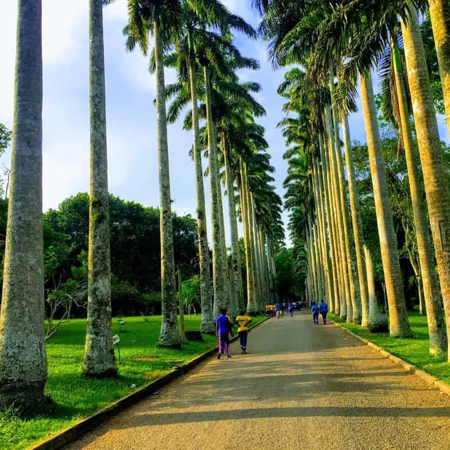 Soft Life & Stillness Retreat (4 Days in Accra & Aburi)