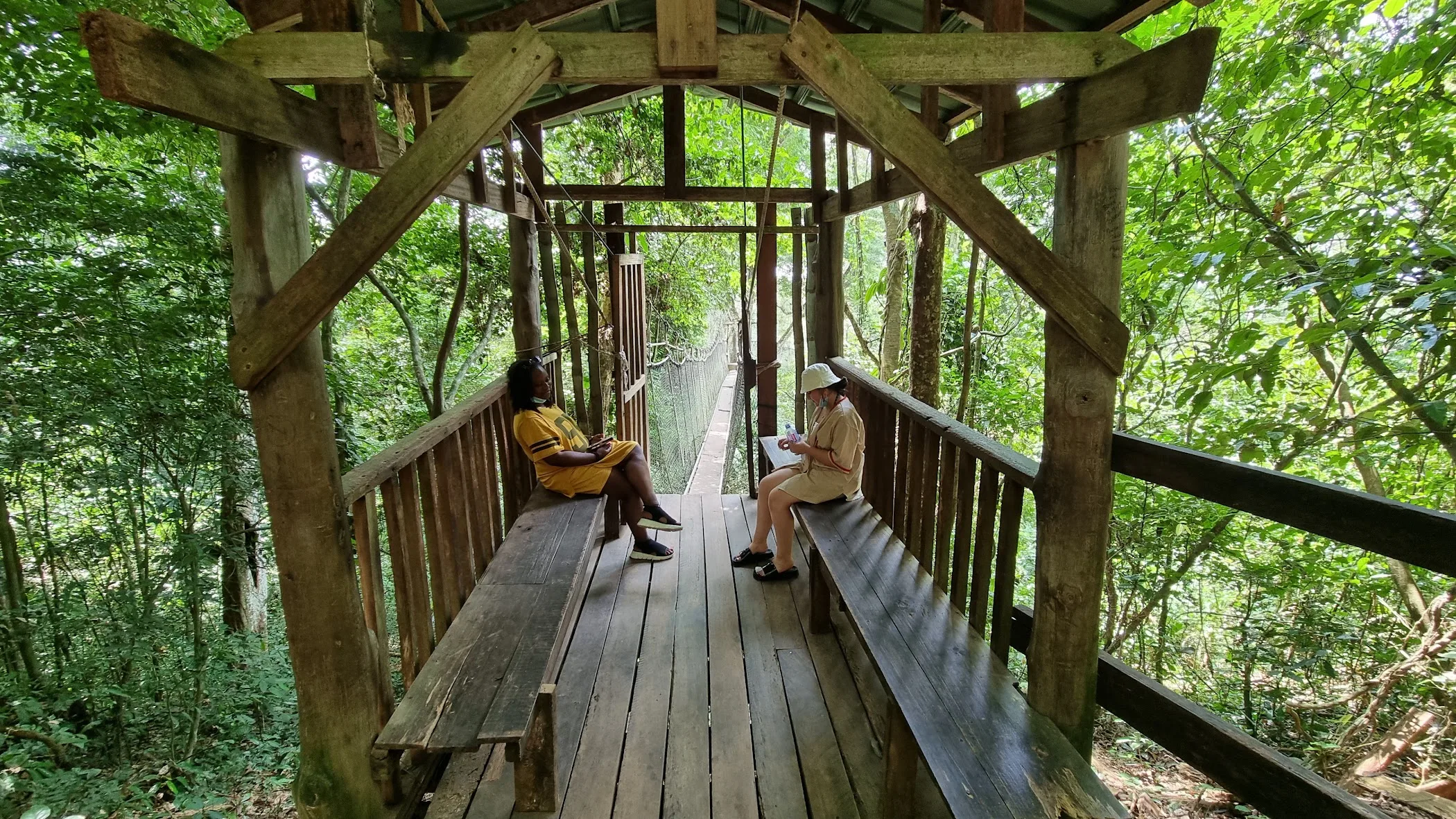 Kakum National Park Ghana — top birdwatching destination