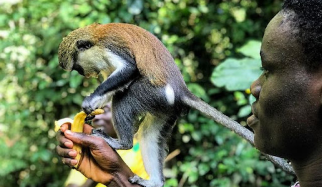 Hidden Cultural Gems in Ghana