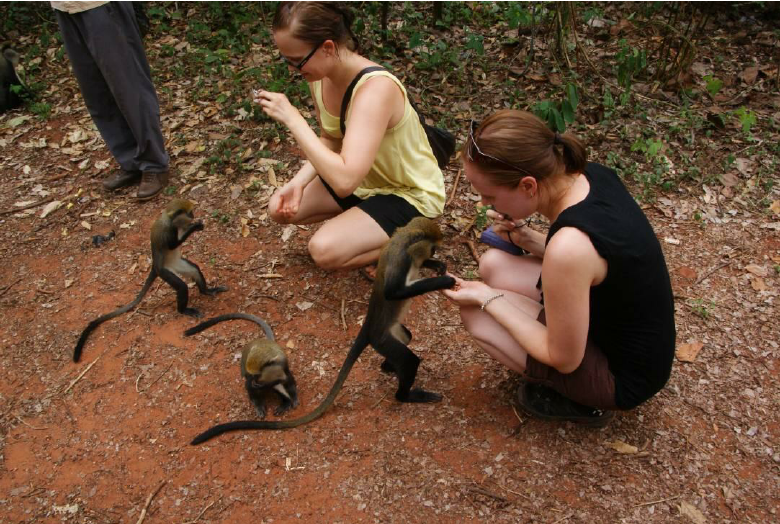 Sacred Monkey Forest Sanctuary akwaaba app