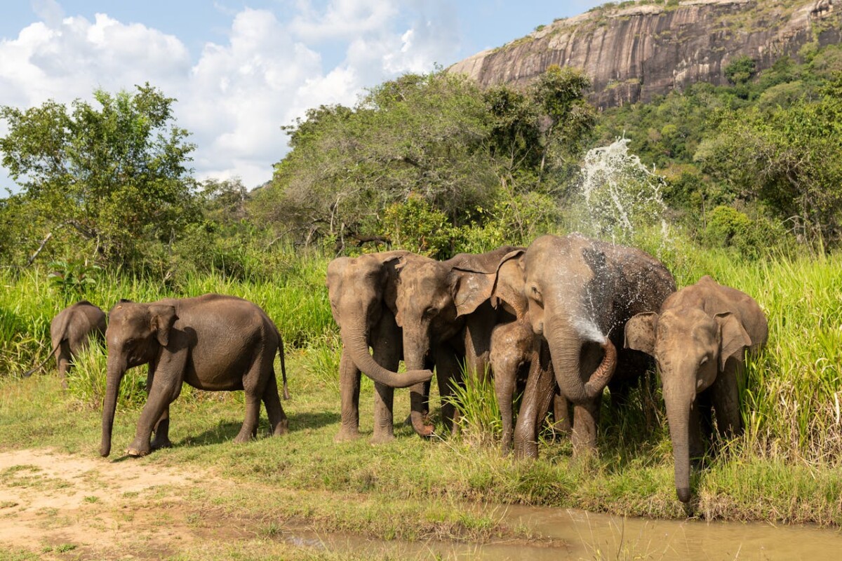 Ghana 4-Day Nature & Wildlife Adventure