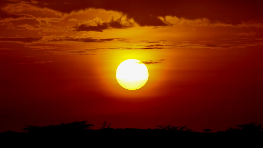 Fiery golden sunset over an African landscape with acacia silhouettes