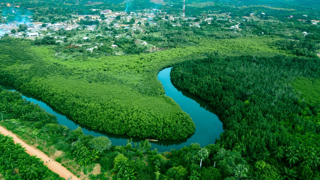 Aerial view of Akwidaa mangrove forest and river Ezile, Ghana