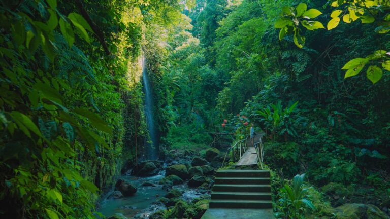 14 Best Adventure Activities in Ghana in 2026