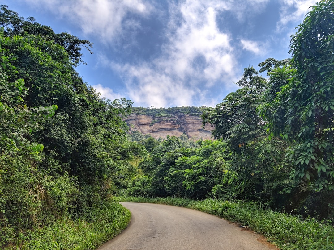 Winding road through lush green trees in Ghana