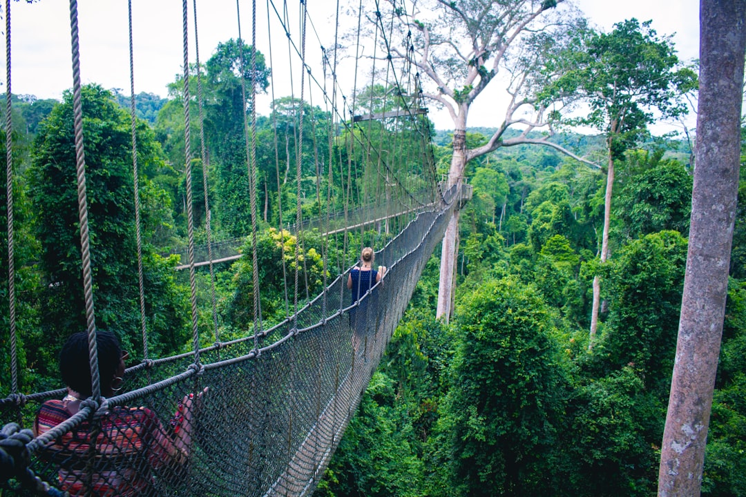 Kakum canopy walk