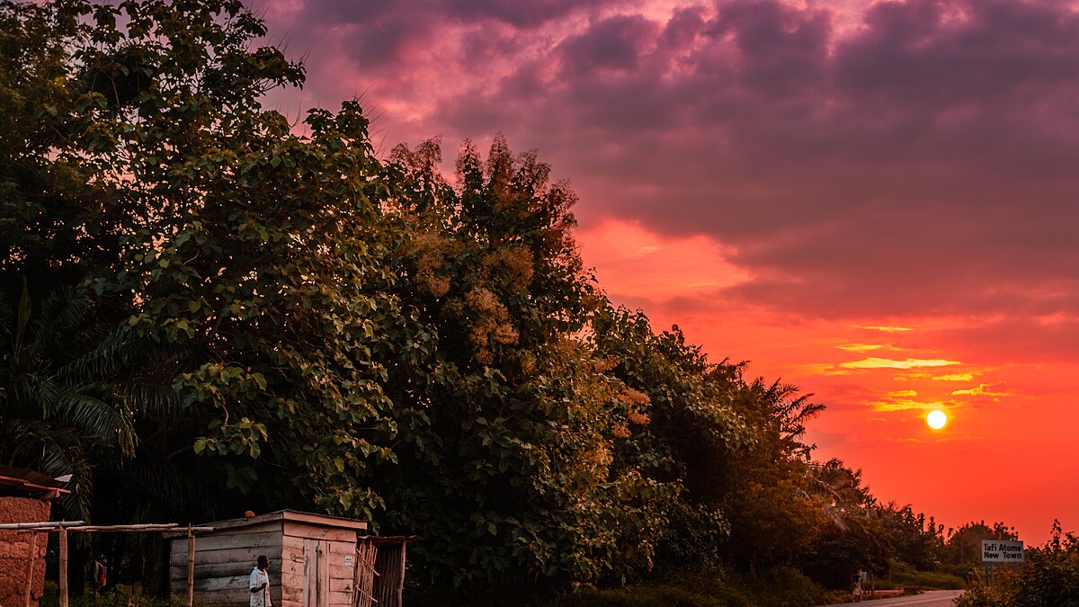 Sunset over Tafi Atome Monkey Sanctuary, Volta Region Ghana — community-led conservation site protecting sacred mona monkeys